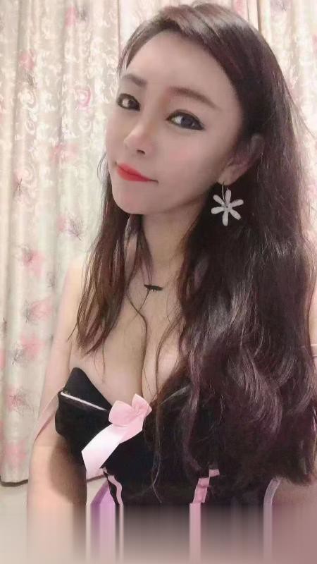 深圳宝安翻身小肥猫