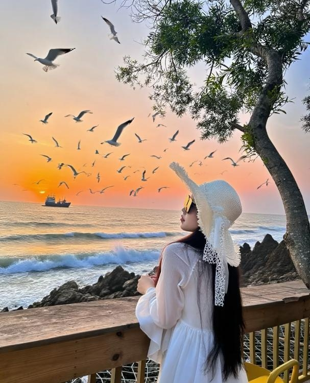 哈尔滨市南岗欣欣